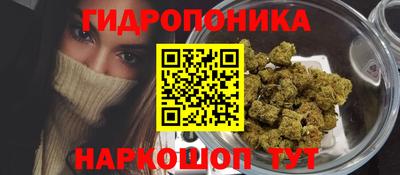 шишки Гусь-Хрустальный
