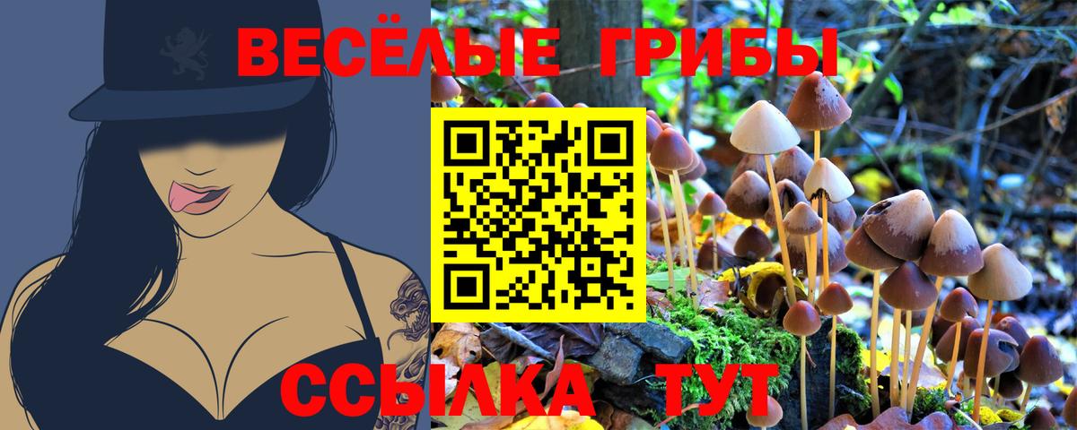 Псилоцибиновые грибы мухоморы  Галлюциногенные грибы ЛСД  Вход с VPN  Мурино 