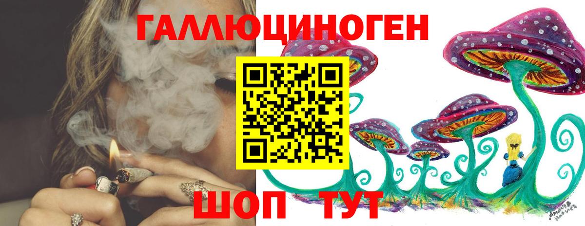 Псилоцибиновые грибы Psilocybe Мурино